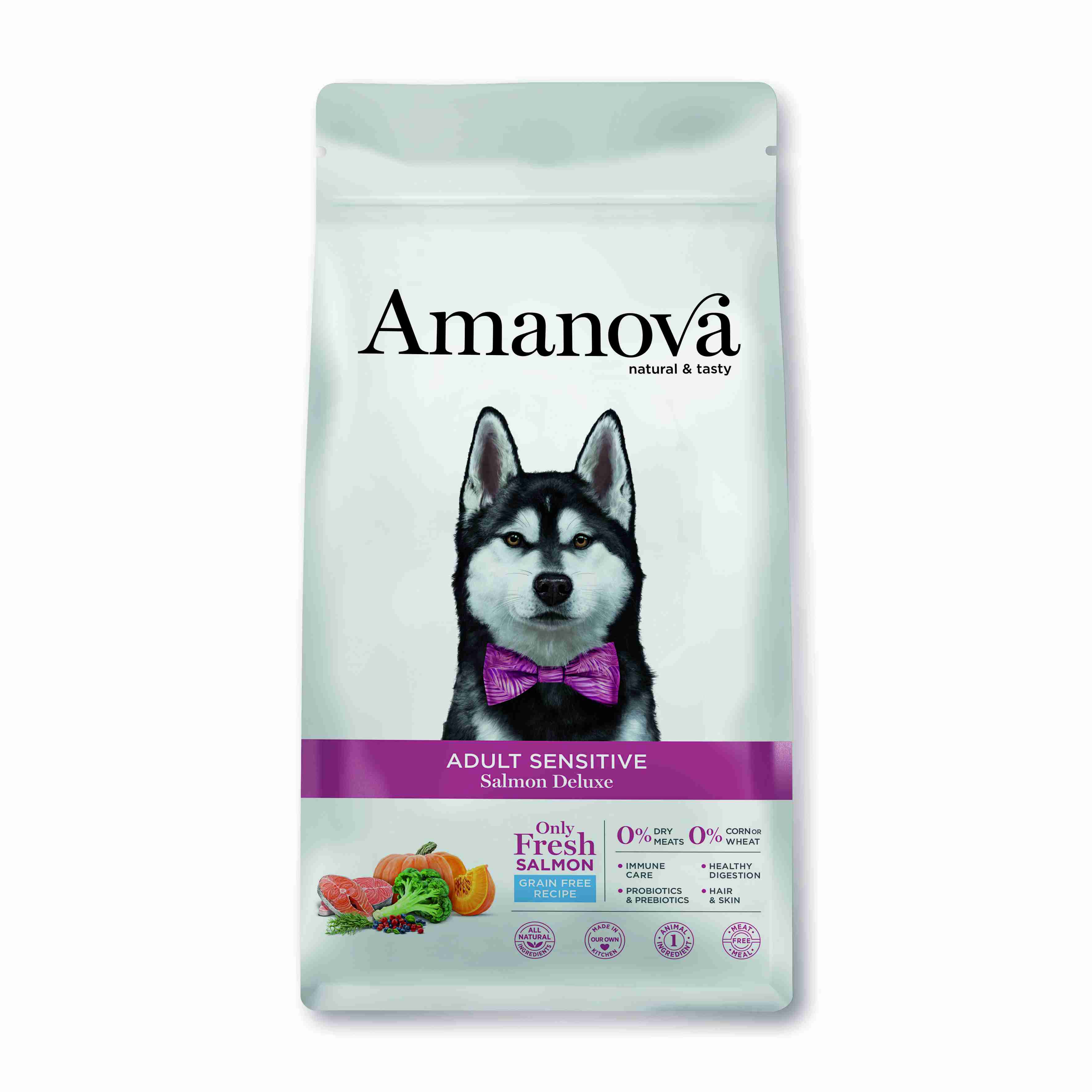 Best Pet Groomer